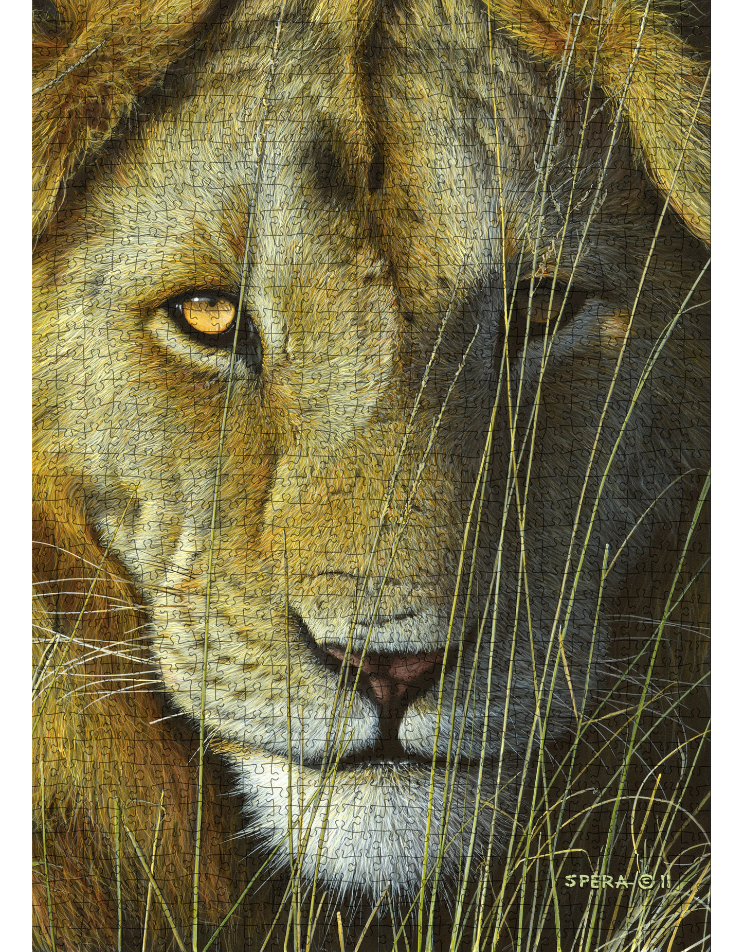 Puzzle in Collector's Tin | Artist Series by Edward Spera