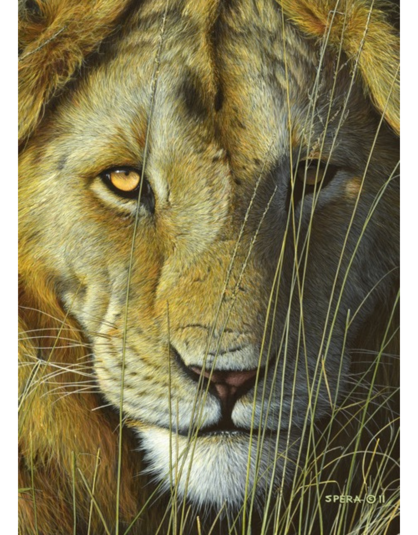 Puzzle in Collector's Tin | Artist Series by Edward Spera