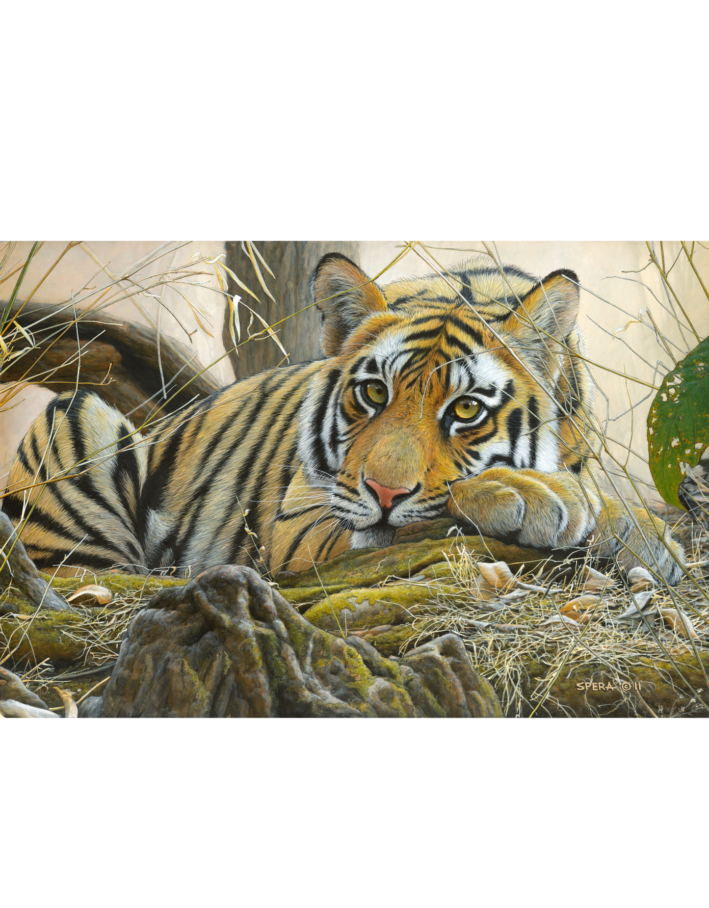 Puzzle in Collector's Tin | Artist Series by Edward Spera
