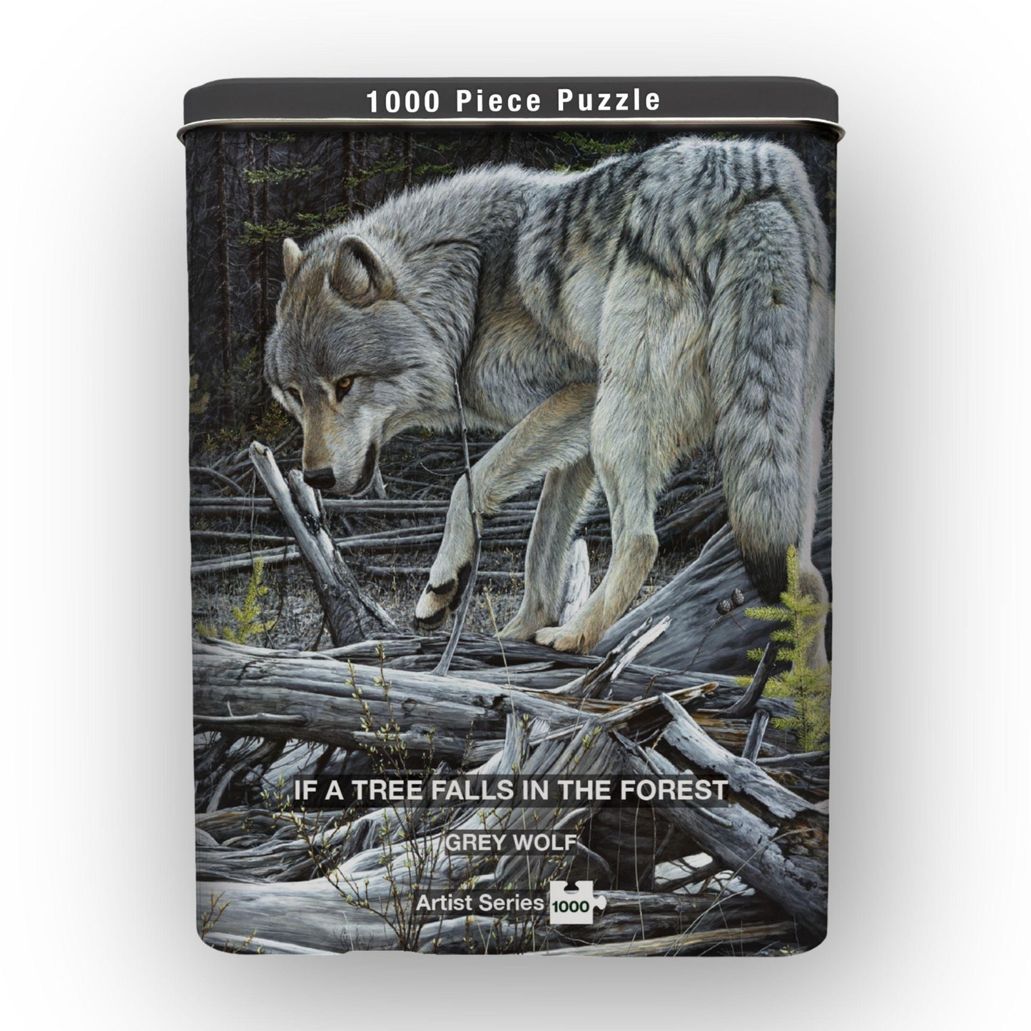 Puzzle in Collector's Tin | Artist Series by Edward Spera