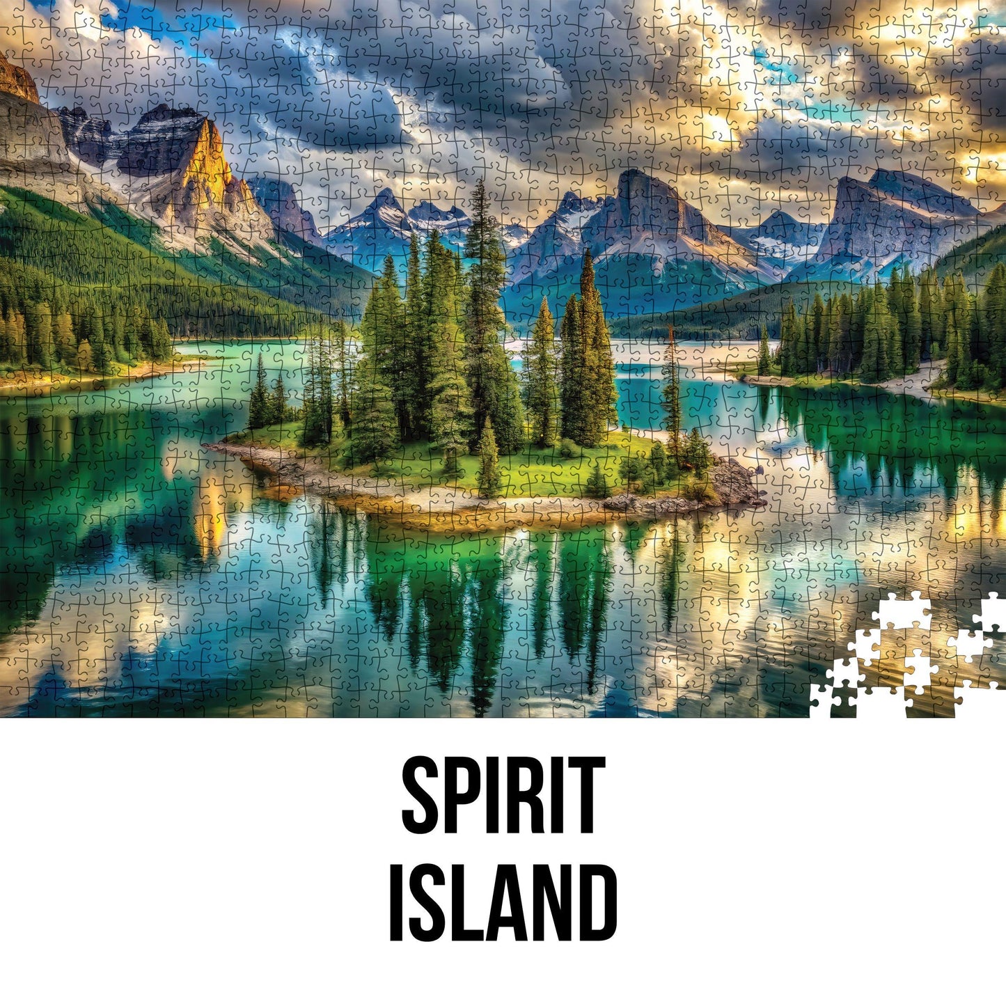 Puzzle in Collector's Tin | Natural World