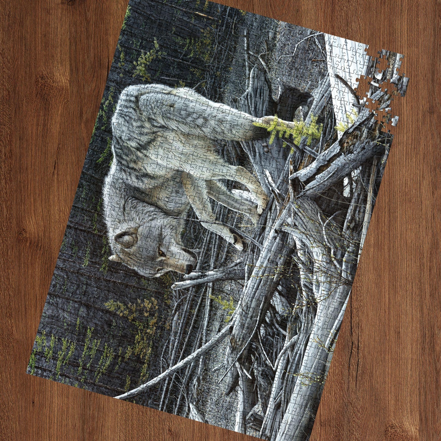 Puzzle in Collector's Tin | Artist Series by Edward Spera